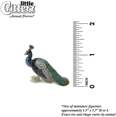 Little Critterz "Shimmer" Peacock