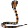 Safari Ltd. Cobra