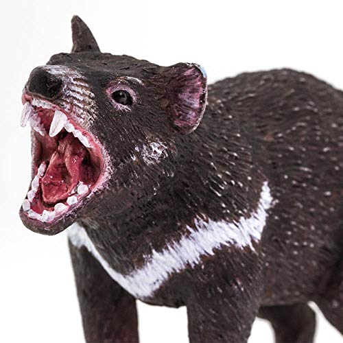 Safari Ltd. Tasmanian Devil