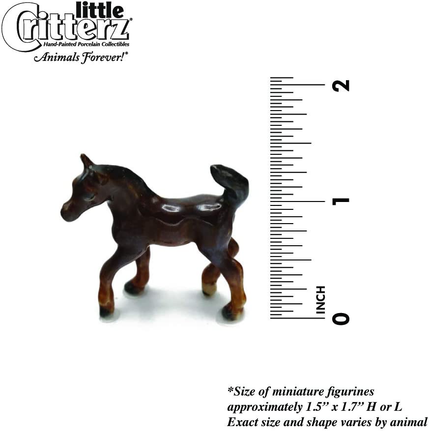 Little Critterz Asil Arabian Colt