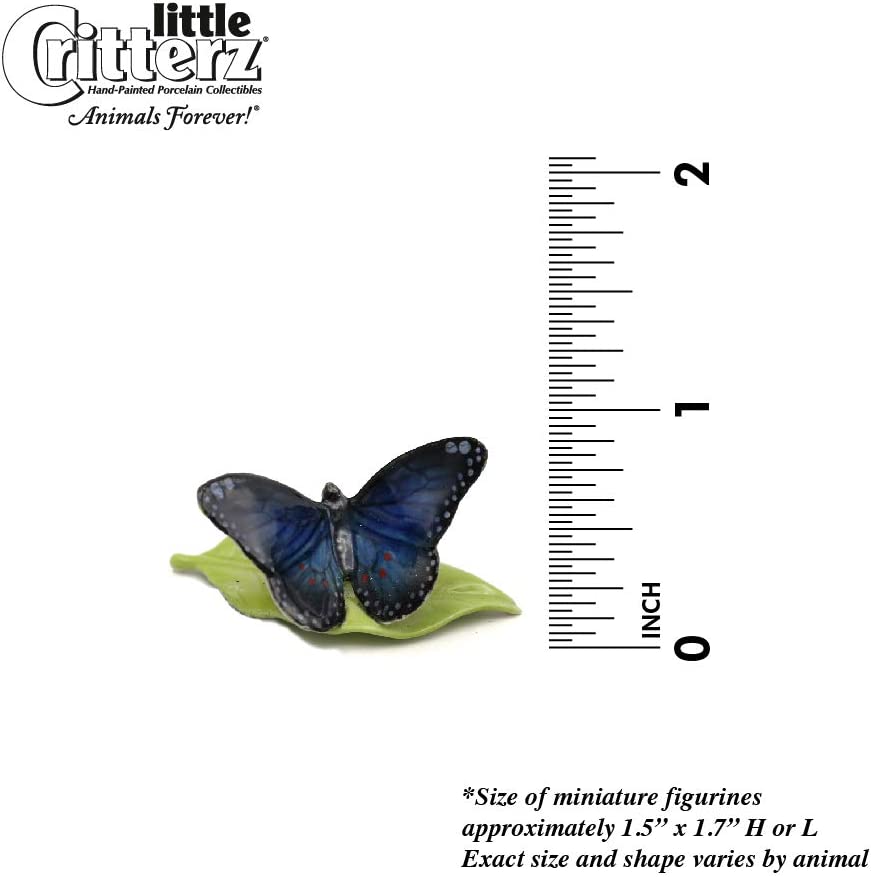 Little Critterz "Venus" Blue Morpho Butterfly