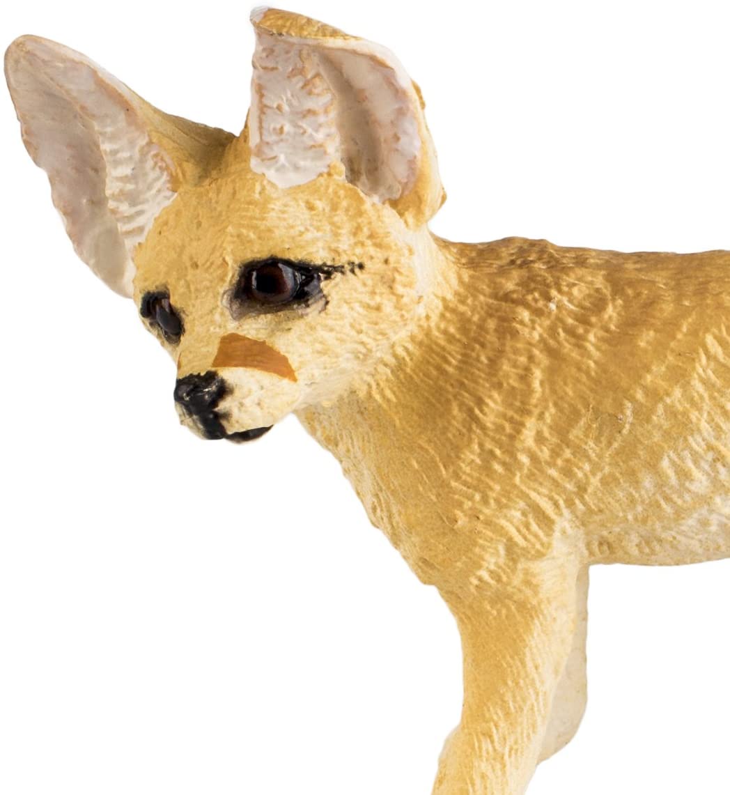 Safari Ltd. Fennec Fox