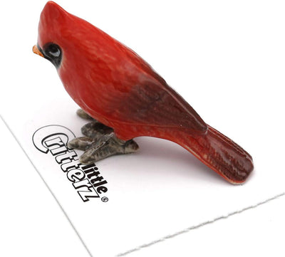 Little Critterz "Louis" Cardinal