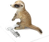 Little Critterz "Lookout" Meerkat