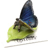 Little Critterz "Venus" Blue Morpho Butterfly