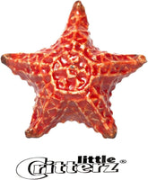 Little Critterz "Sea Star" Starfish Porcelain Figurine