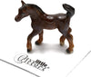 Little Critterz Asil Arabian Colt