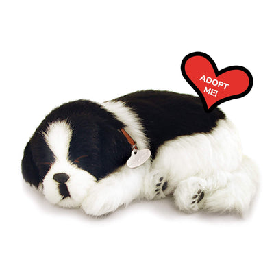 Perfect Petzzz Huggable Border Collie