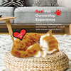 Perfect Petzzz Huggable Orange Tabby Cat