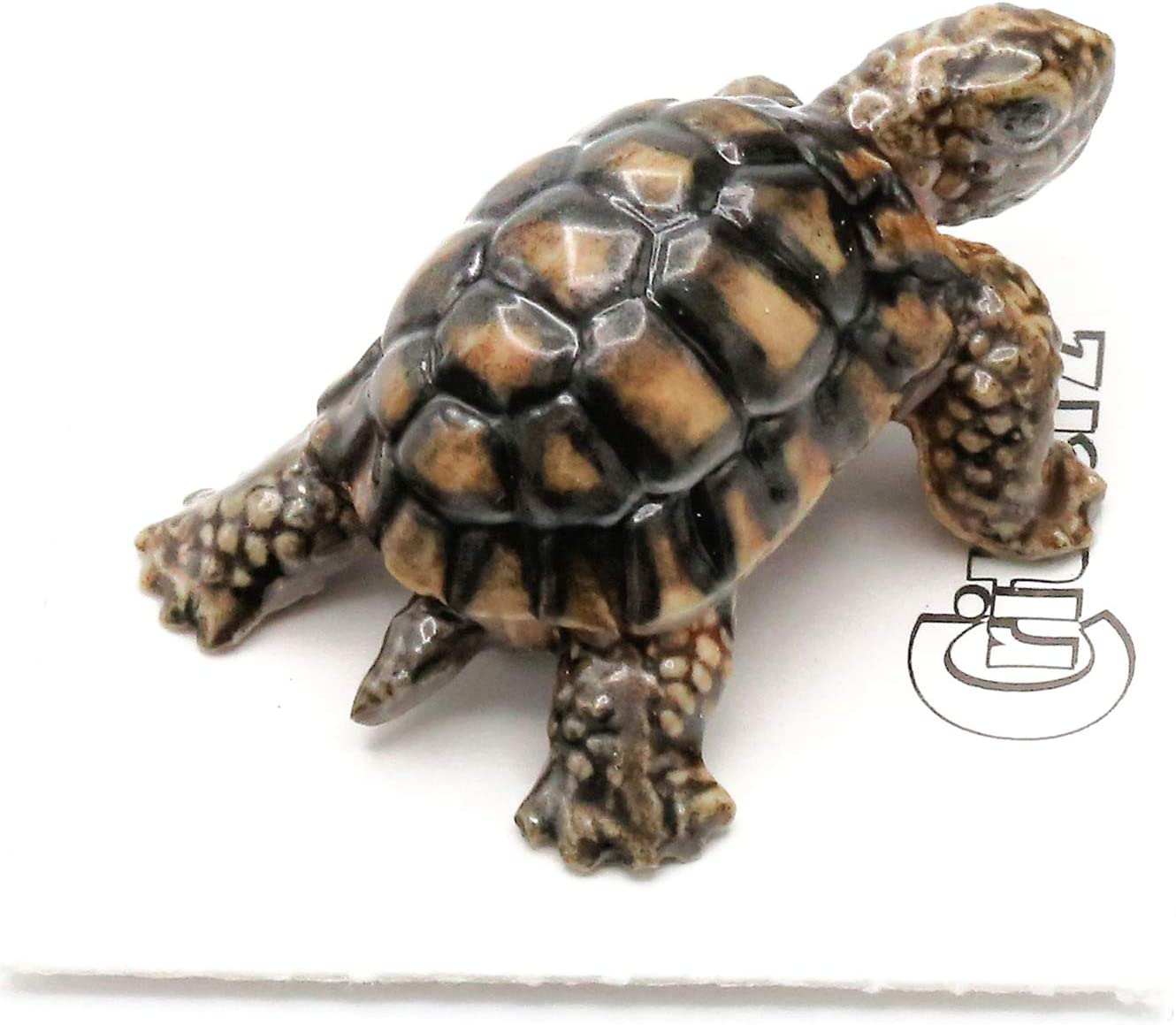 Little Critterz "Joshua" Desert Tortoise Porcelain Figurine