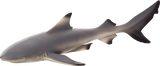 Mojo Black Tip Reef Shark (387357) Figurine