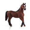 Mojo Arabian Stallion Chestnut