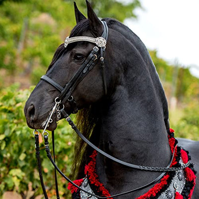 Breyer Horses Traditional Series Sjoerd | Horse Toy Model | 12.25" x 8" | 1:9 Scale