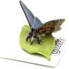 Little Critterz "Venus" Blue Morpho Butterfly