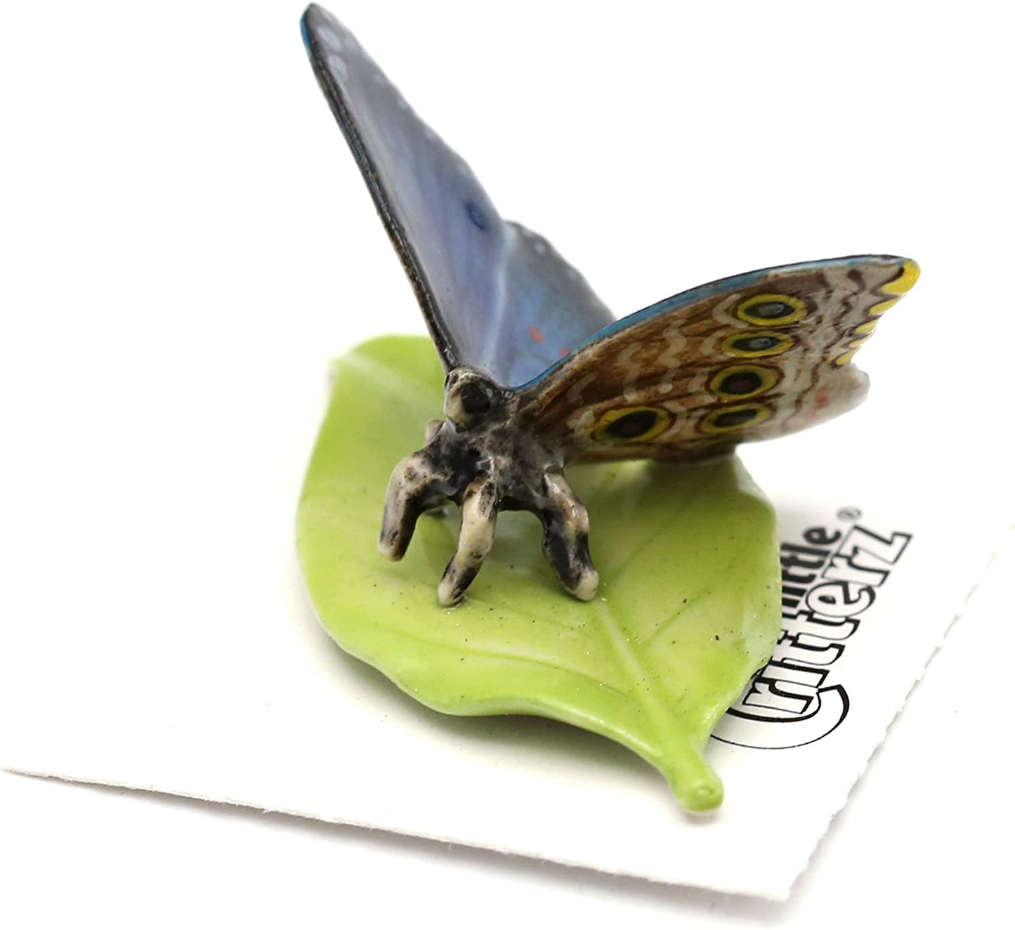 Little Critterz "Venus" Blue Morpho Butterfly
