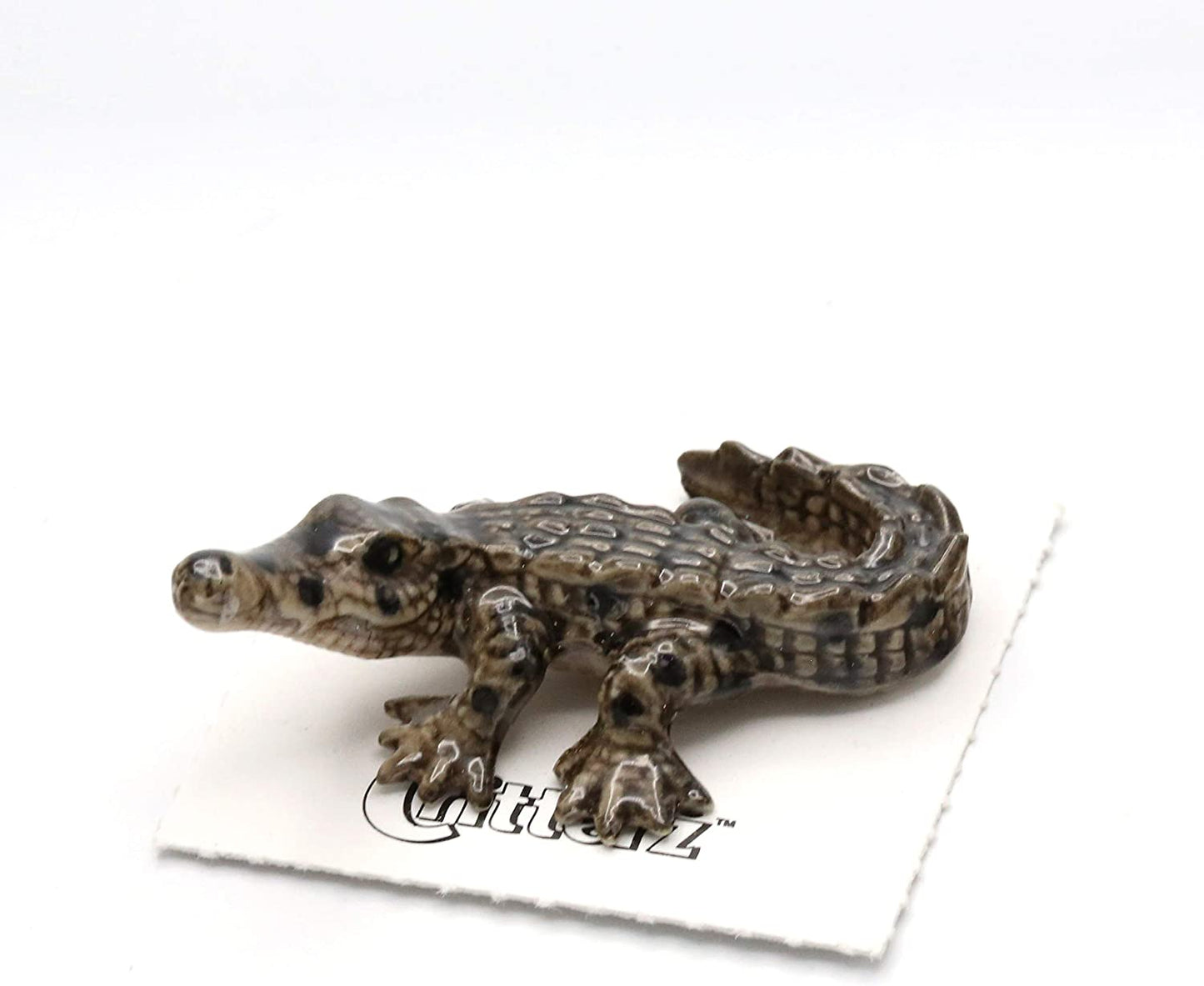 Little Critterz "Scales" American Crocodile