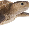 Safari Ltd. Green Sea Turtle