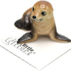 Little Critterz "Rocky" Sea Lion Pup