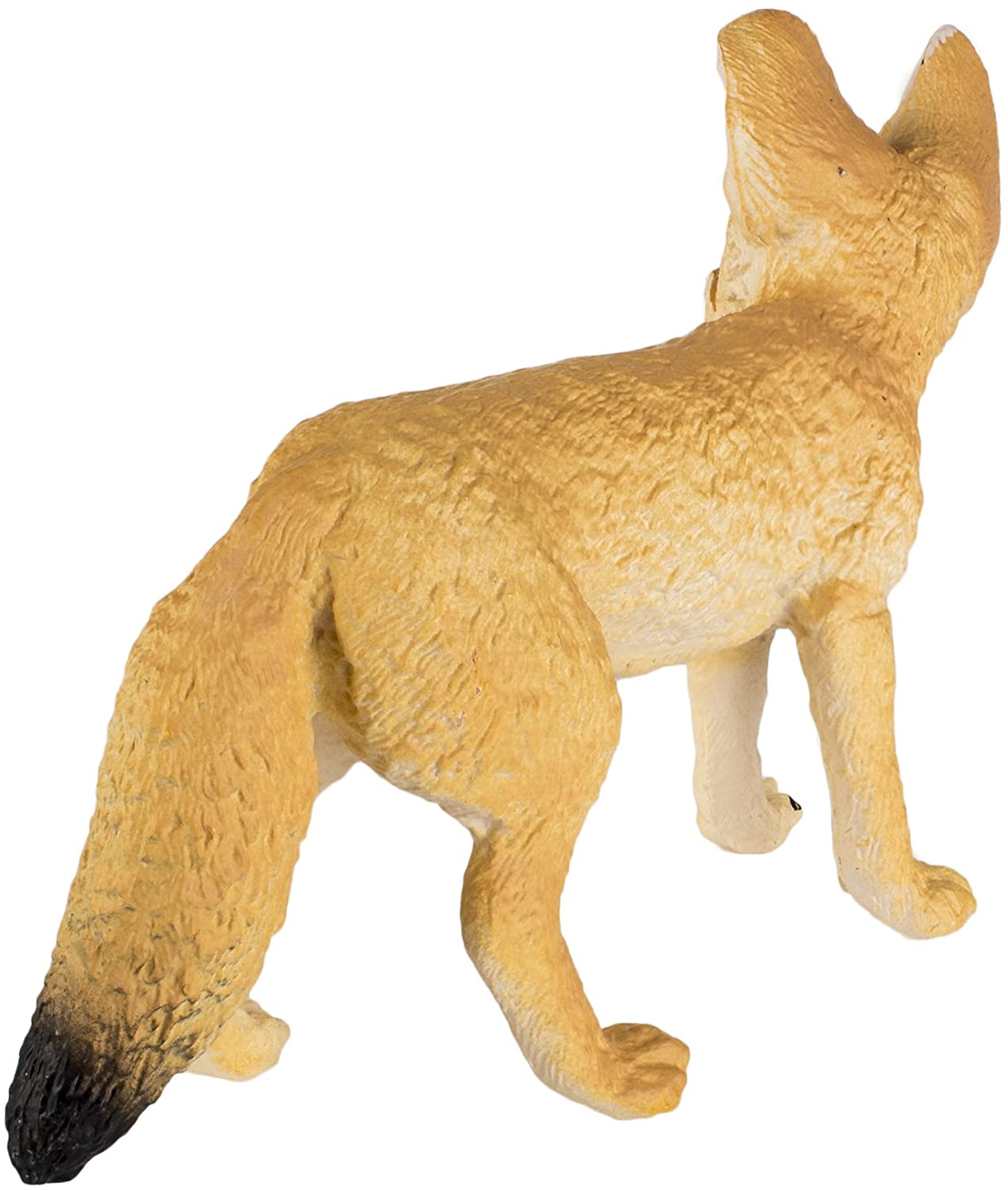 Safari Ltd. Fennec Fox