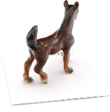 Little Critterz Asil Arabian Colt