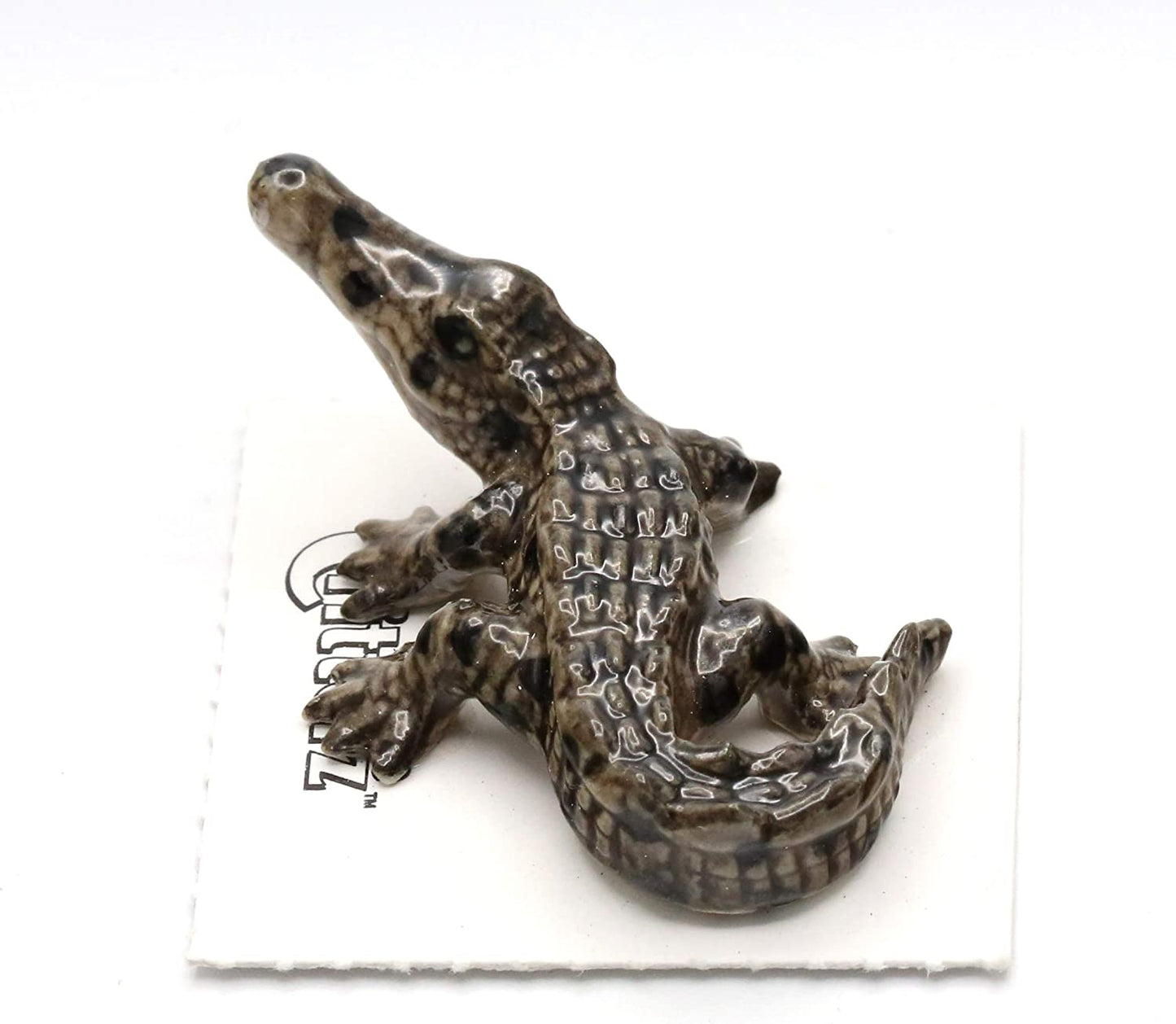 Little Critterz "Scales" American Crocodile