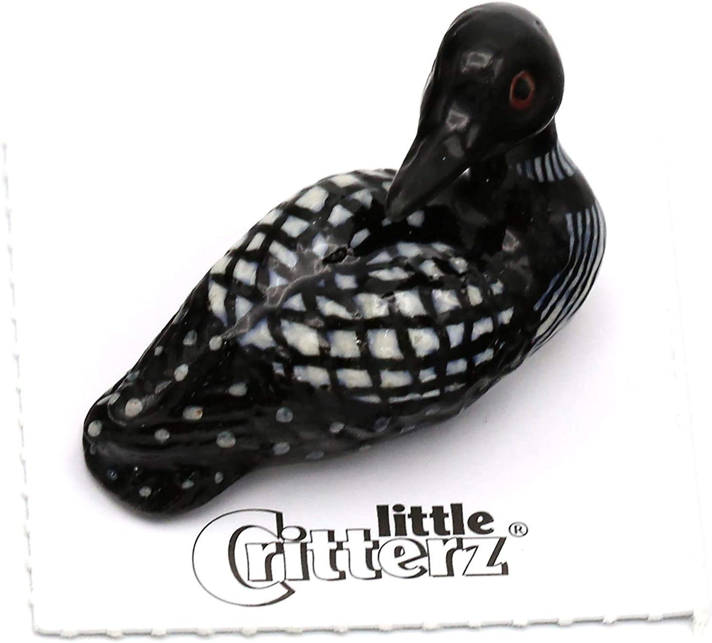 Little Critterz "Gavia" Loon
