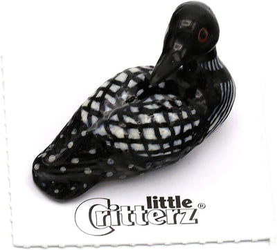 Little Critterz "Gavia" Loon