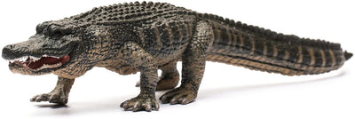 Collecta American Alligator