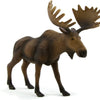MOJO Moose