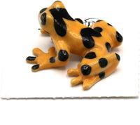 Little Critterz "Zeteki Panamanian Golden Frog Hand Painted Porcelain Figurine