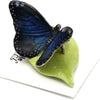 Little Critterz "Venus" Blue Morpho Butterfly