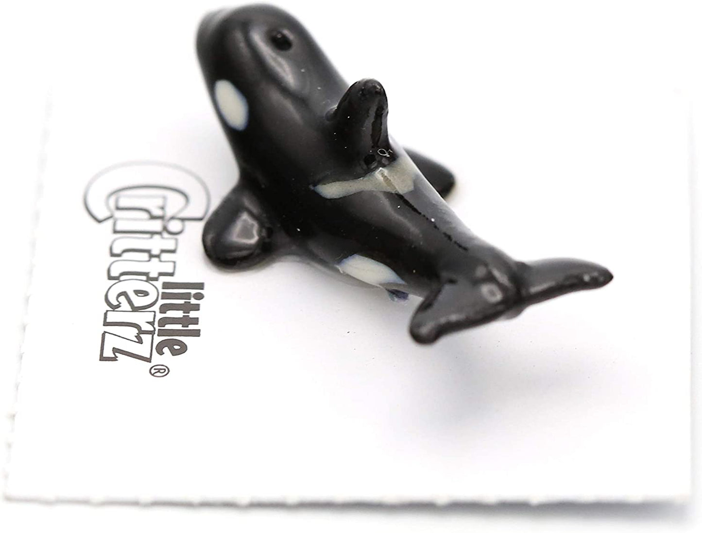 Little Critterz "Seawolf" Orca Killer Whale