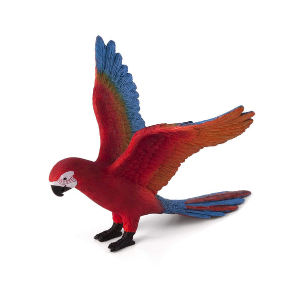 MOJO Parrot Realistic International Wildlife Toy Replica Hand Painted Figurine