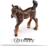 Little Critterz Asil Arabian Colt