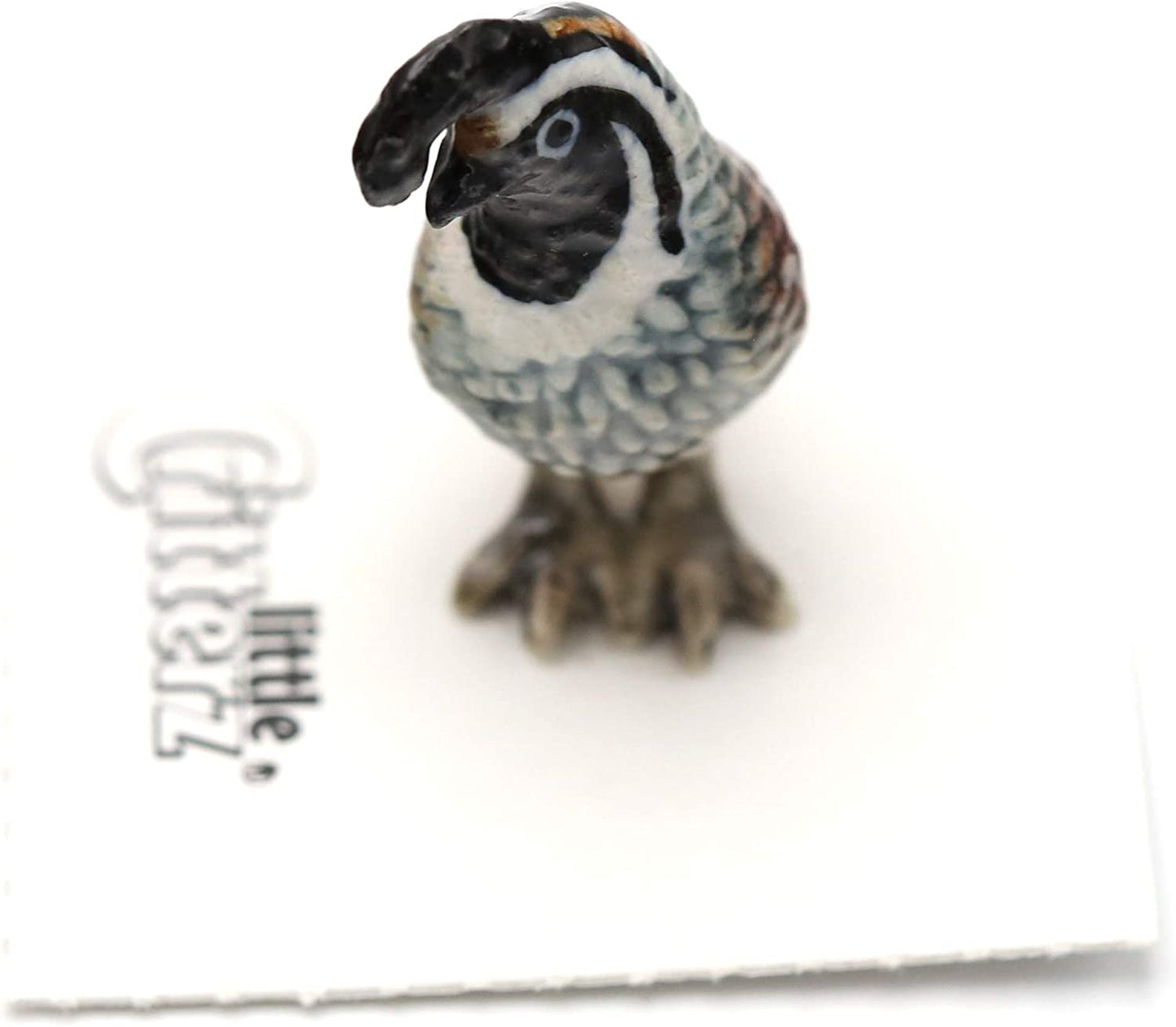 Duplicate SKU: Little Critterz "Valley California Quail Hand Painted Porcelain Figurine | 12.99 | 19218