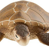 Safari Ltd. Green Sea Turtle