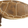 Safari Ltd. Green Sea Turtle