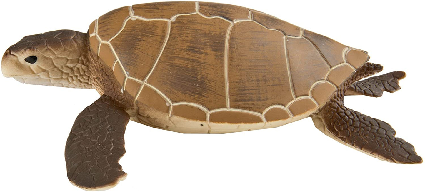 Safari Ltd. Green Sea Turtle