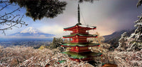 Educa 3000pc Panorama Puzzle Mount Fuji and Chureito Pagoda