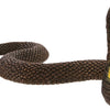 Safari Ltd. Cobra