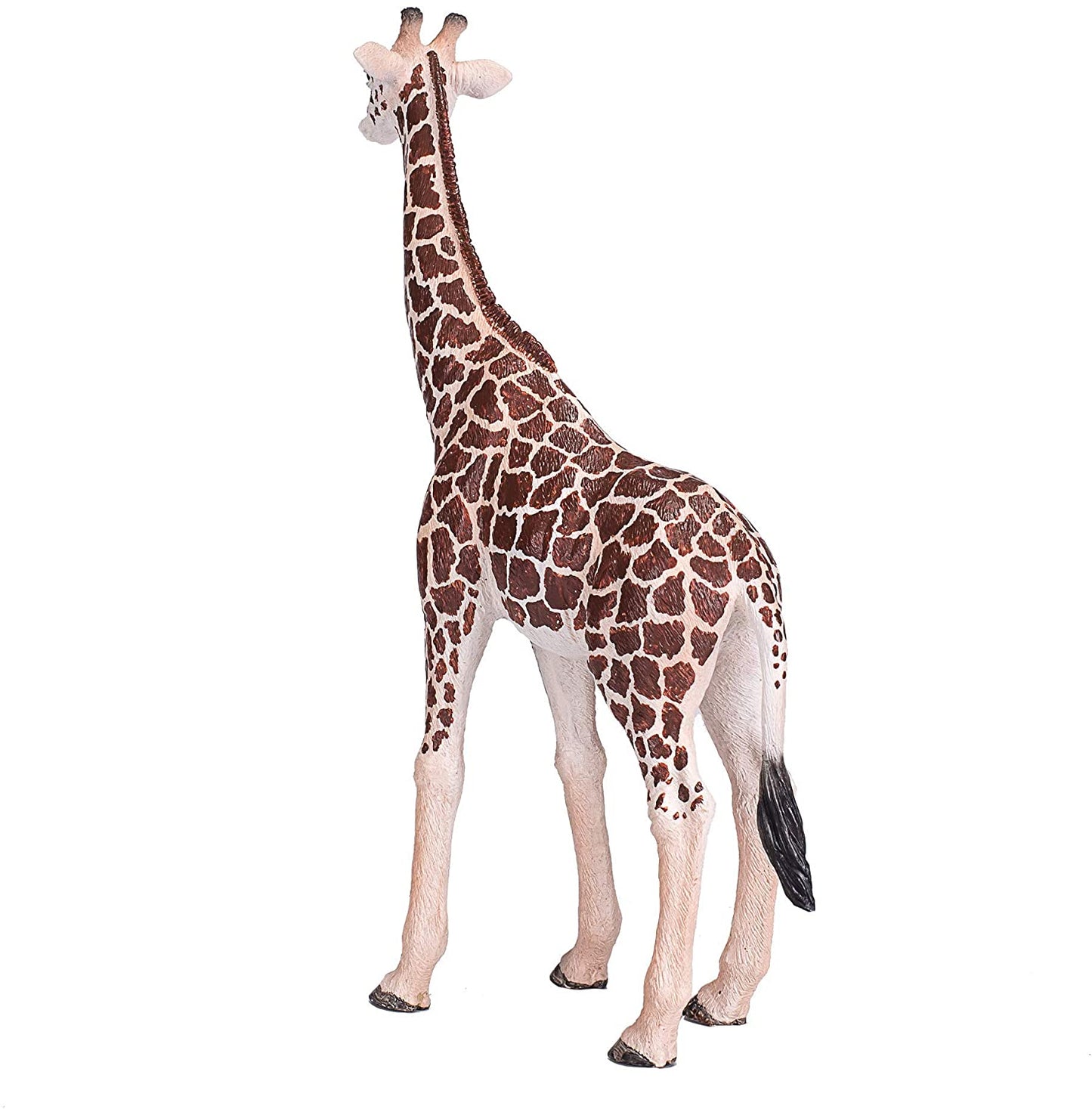 Mojo Giraffe Male