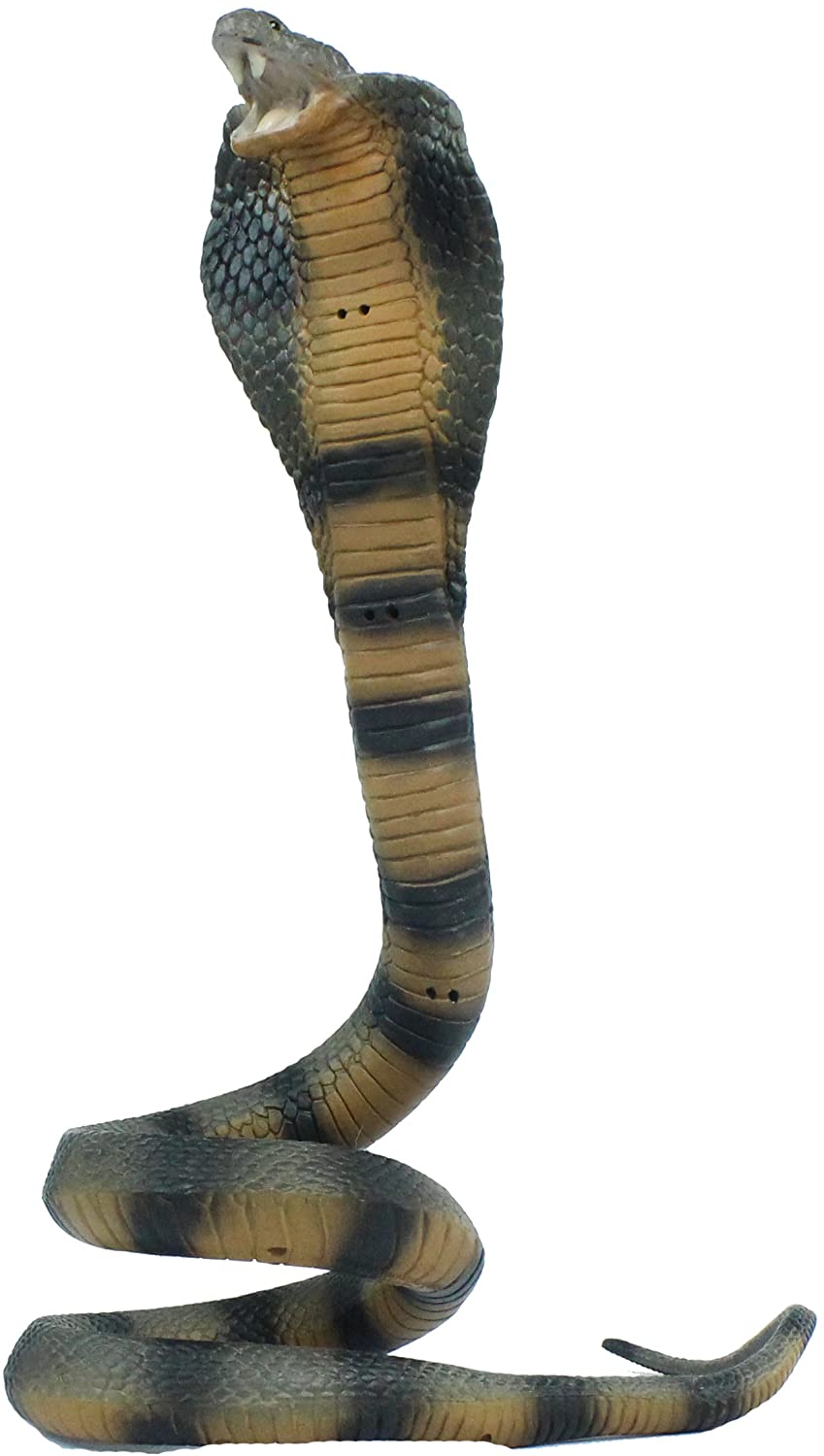 Safari Ltd. Cobra