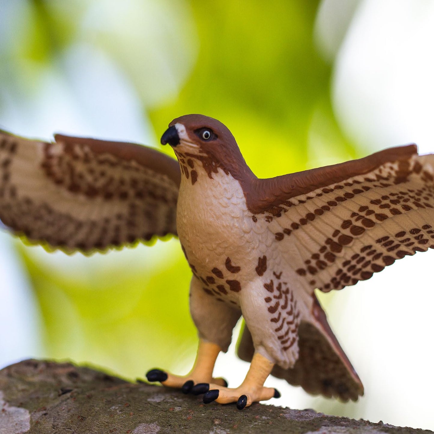 Safari Ltd. Red Tailed Hawk