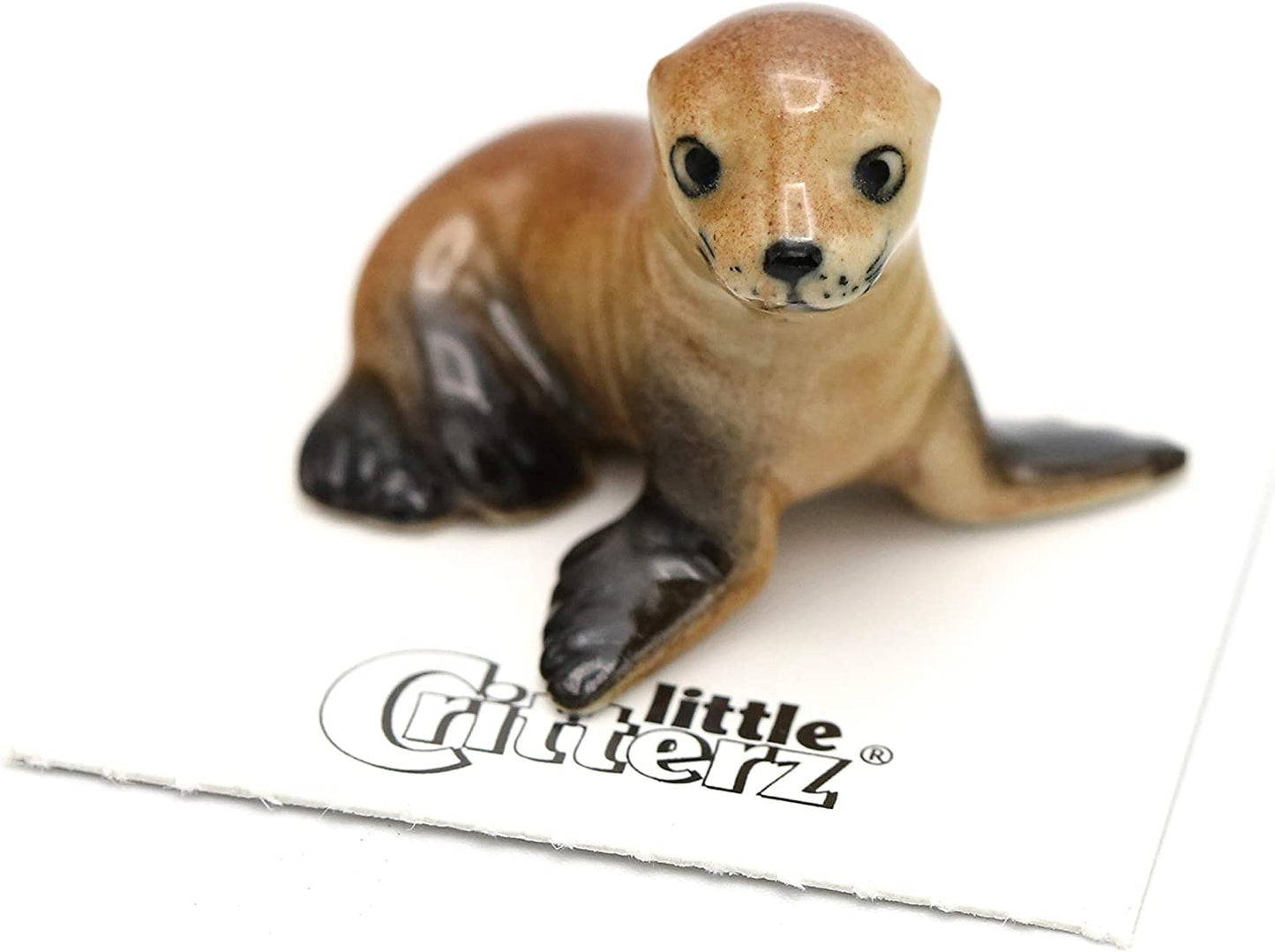 Little Critterz "Rocky" Sea Lion Pup
