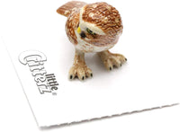 Little Critterz Athene Burrowing Owl