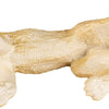 Safari Ltd. Fennec Fox