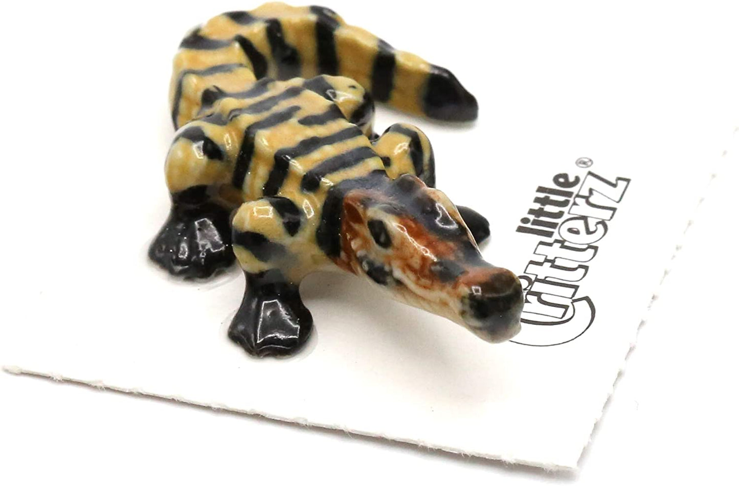 Little Critterz "Junior" American Alligator