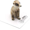 Little Critterz "Lookout" Meerkat