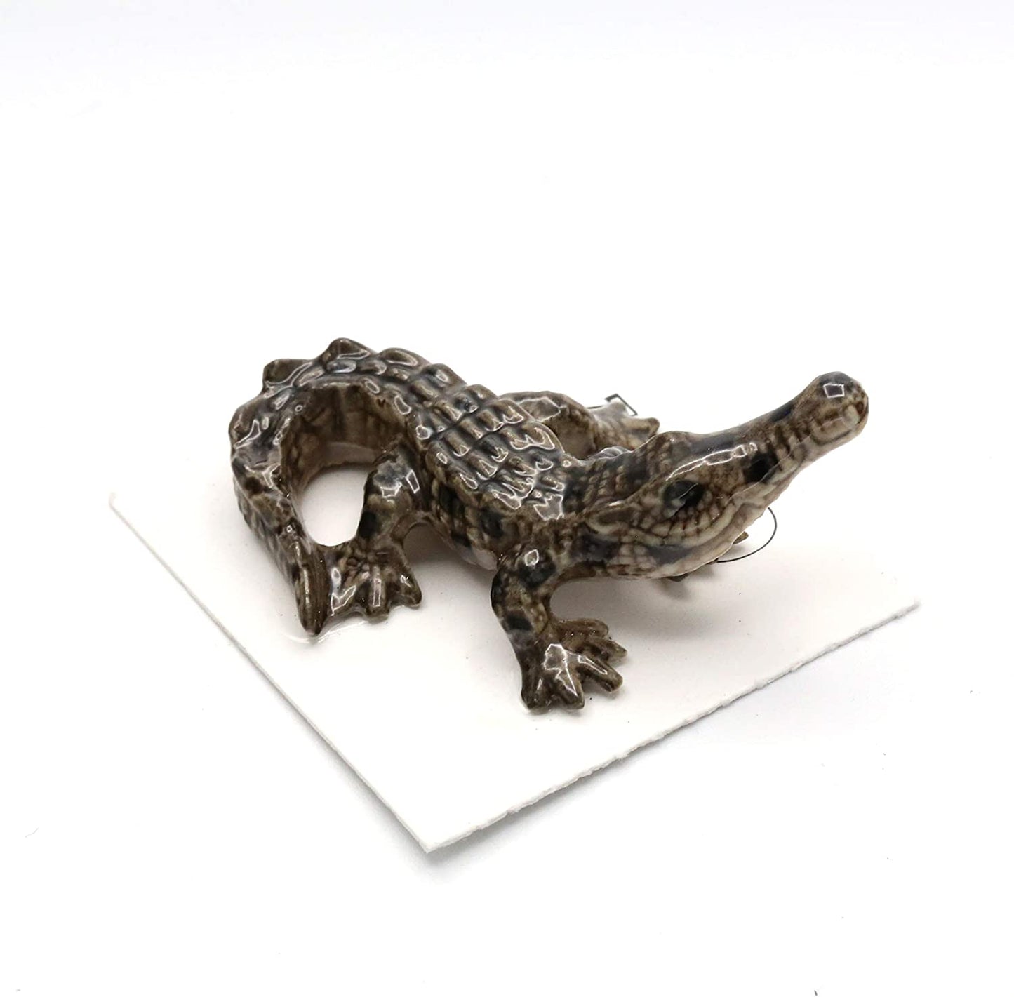 Little Critterz "Scales" American Crocodile