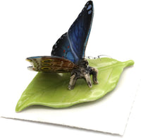 Little Critterz Venus Blue Morpho Butterfly